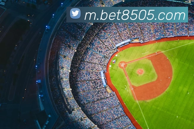 bet365com平台生态图